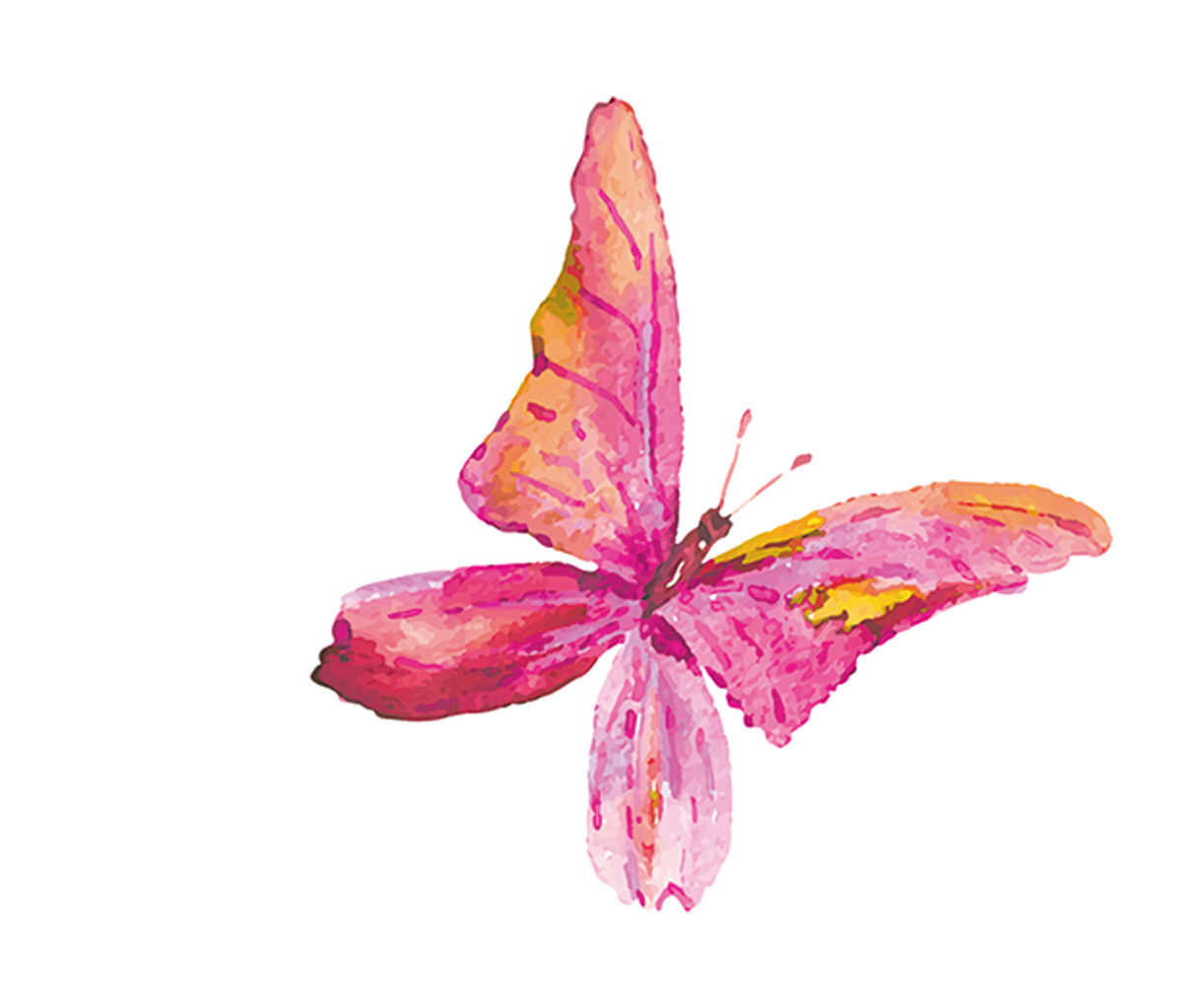 pink butterfly